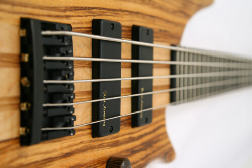 tiger bass