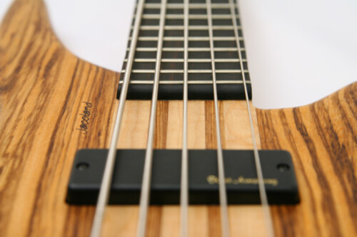 tiger bass