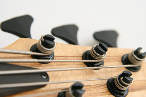 tiger bass